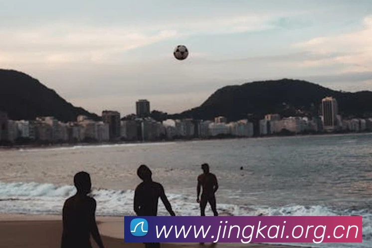 milan登录入口平台生态图