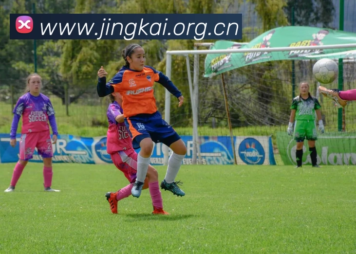 milan登录入口APP 封面图